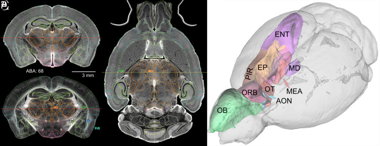 Fig. 2.