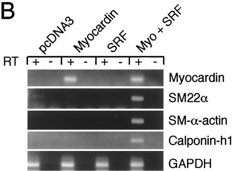 FIG. 7.