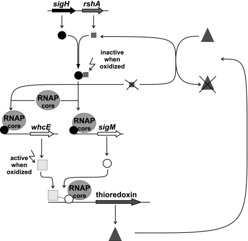 FIG. 8.