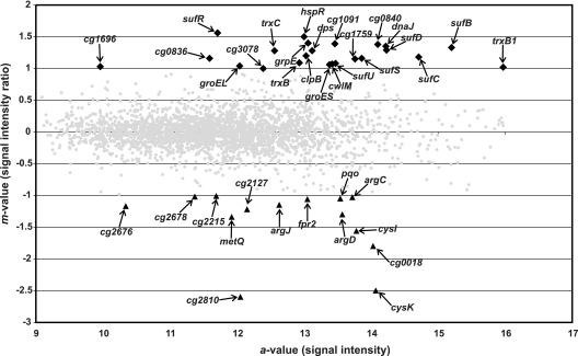 FIG. 2.