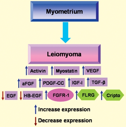 Figure 6