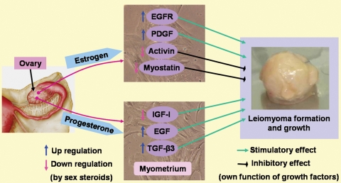 Figure 5