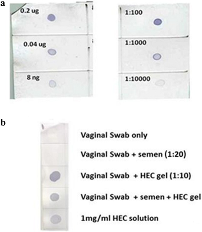 Fig. 3