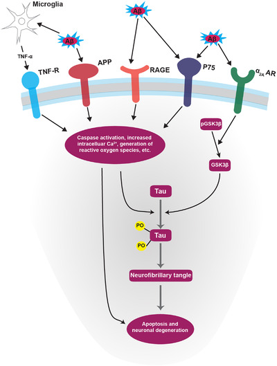 FIGURE 3