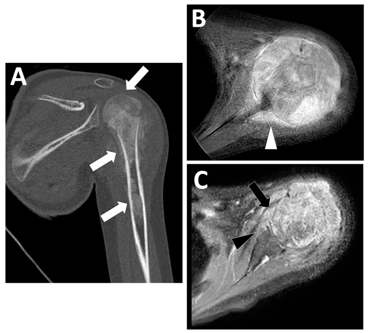 Figure 15