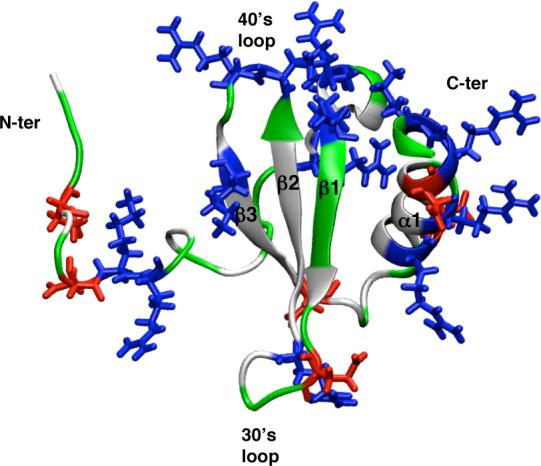 FIG. 1