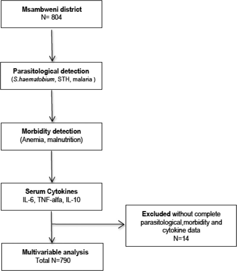 Figure 2.