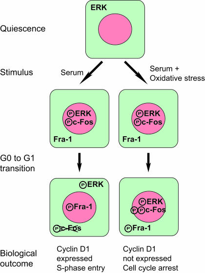 FIG. 11.