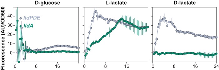 FIG 2