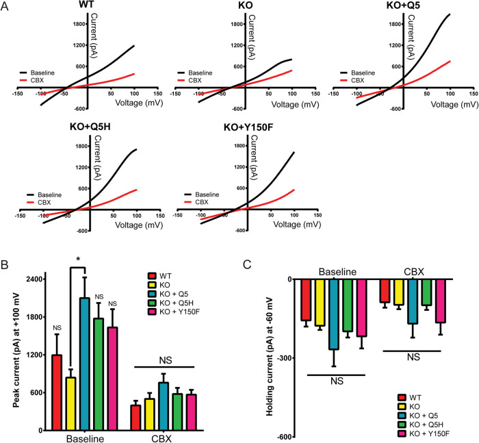 FIGURE 5: