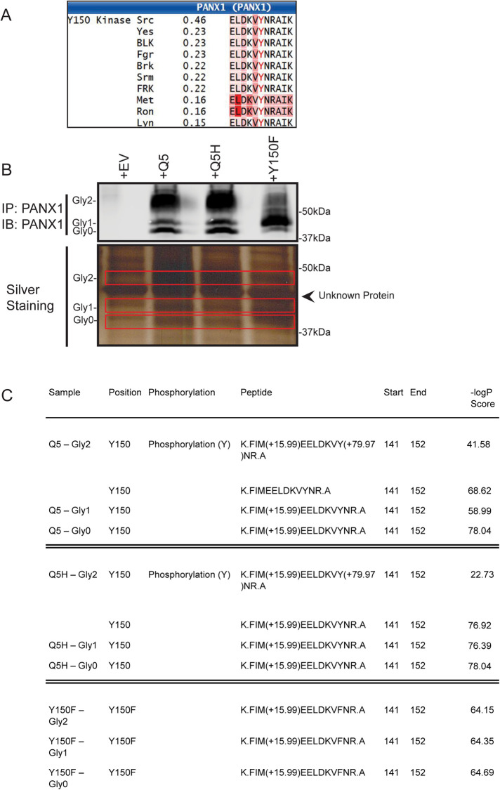 FIGURE 7: