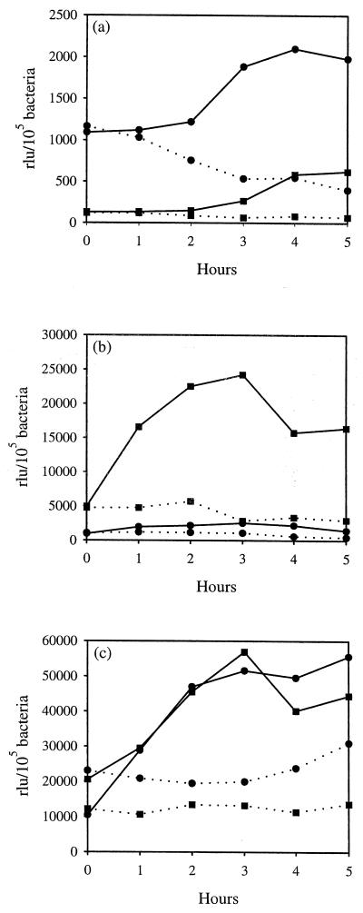 FIG. 7