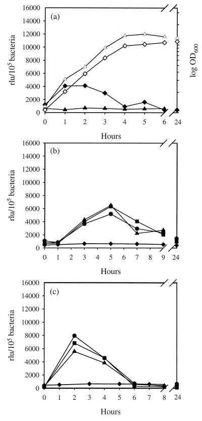 FIG. 5