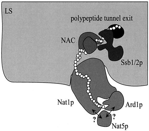 FIG. 7.