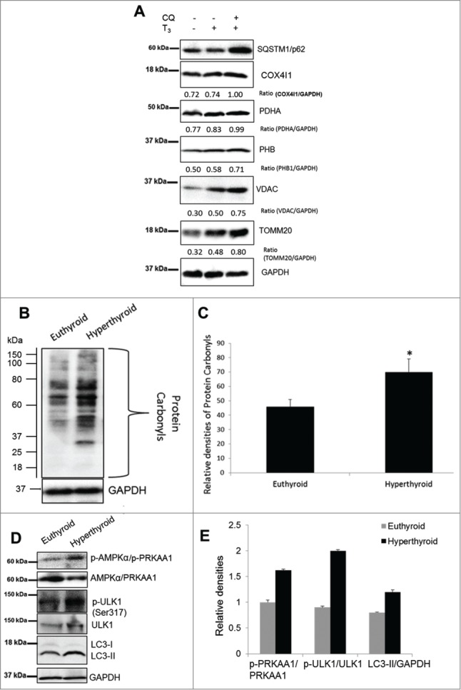 Figure 12.