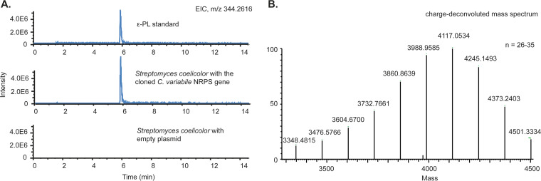 FIG 2