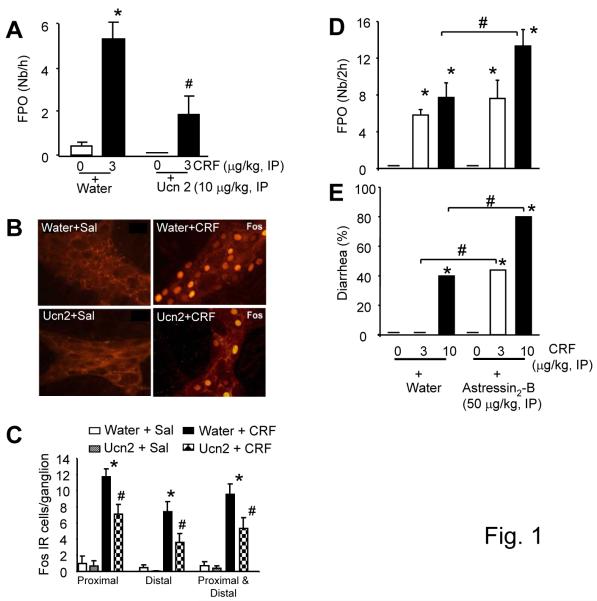 Figure1