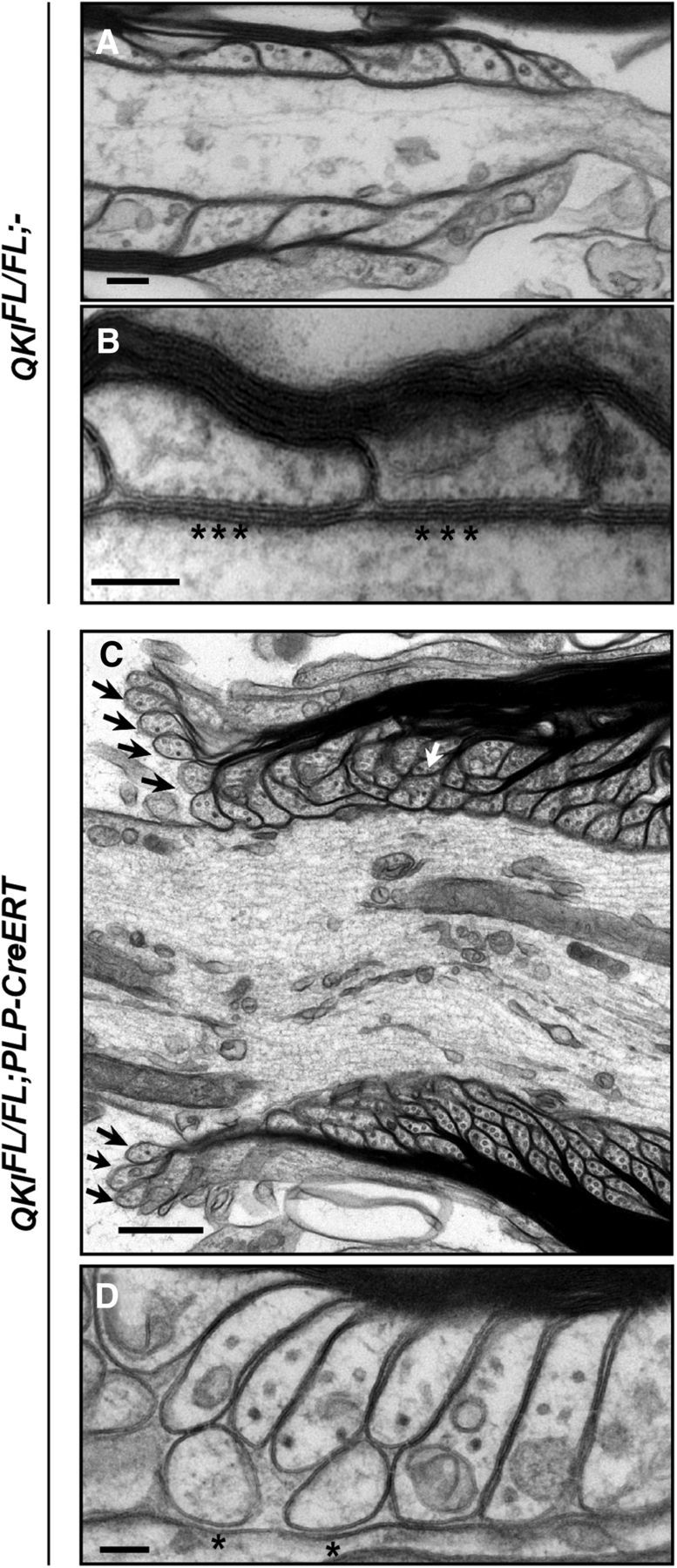 Figure 10.