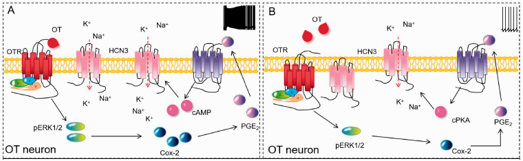 Figure 10.