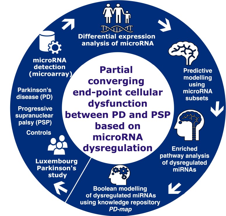 Graphical Abstract