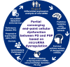 Graphical Abstract