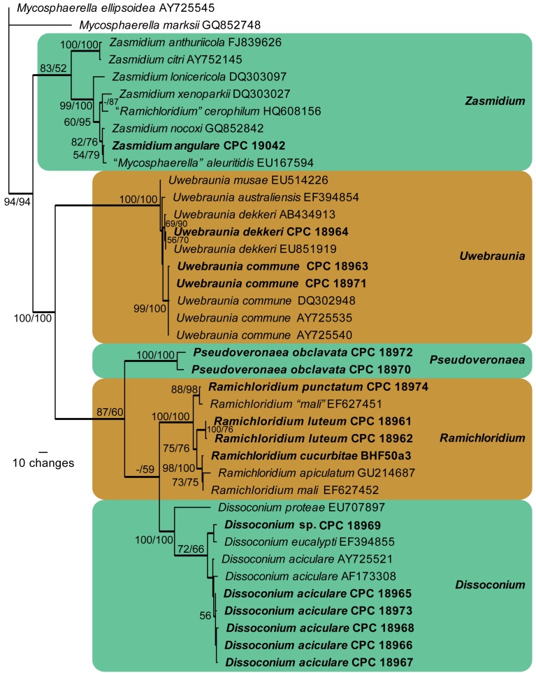 Fig. 2