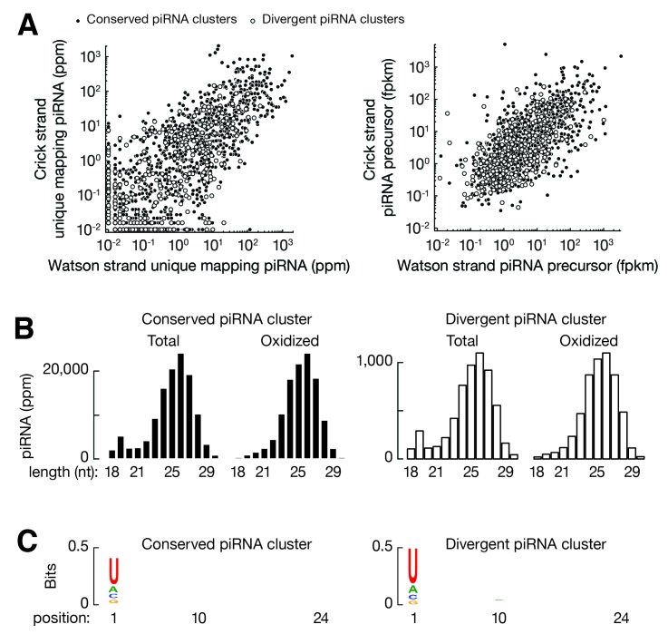 Figure 4—figure supplement 1.