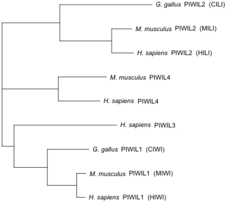 Figure 1—figure supplement 2.