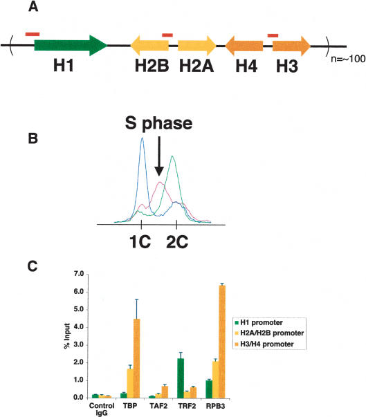 Figure 2.