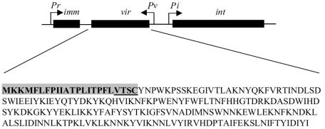 FIG. 7.