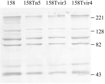 FIG. 5.