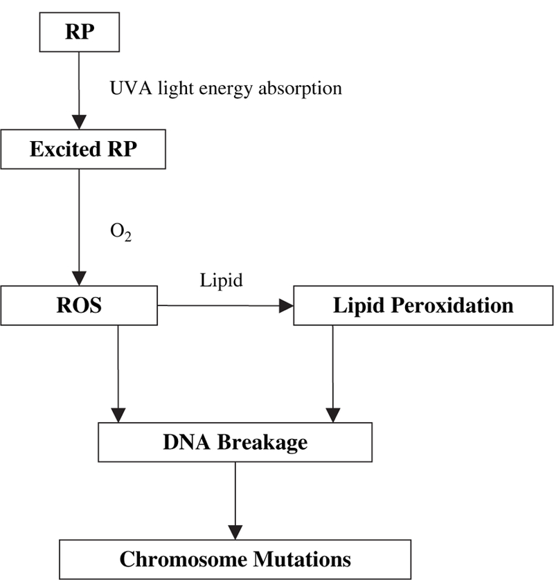 FIG. 6.