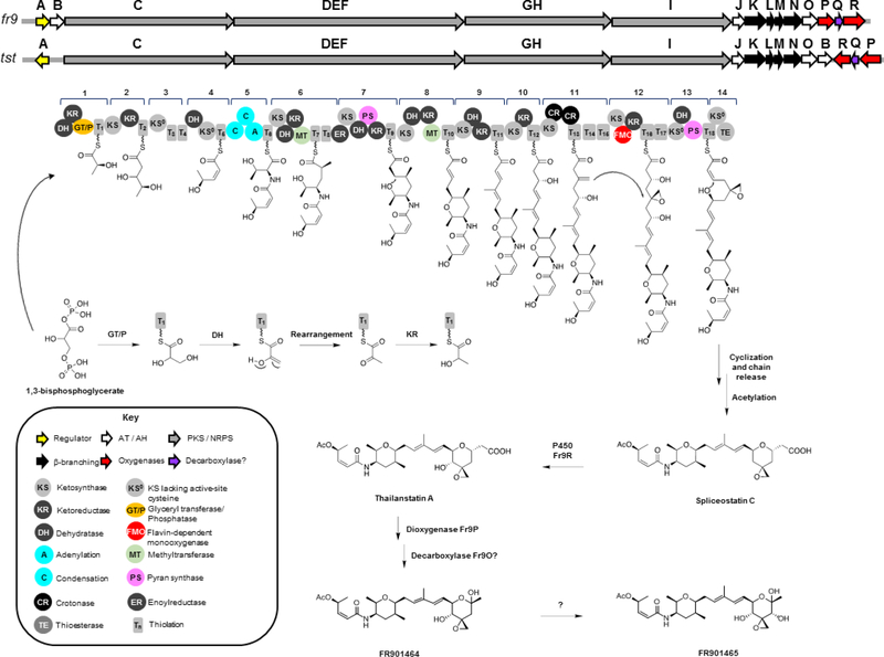 Figure 6.