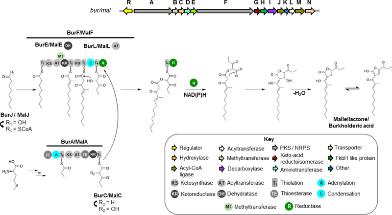 Figure 5.