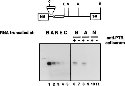 FIG. 7