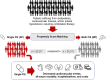 Graphical Abstract