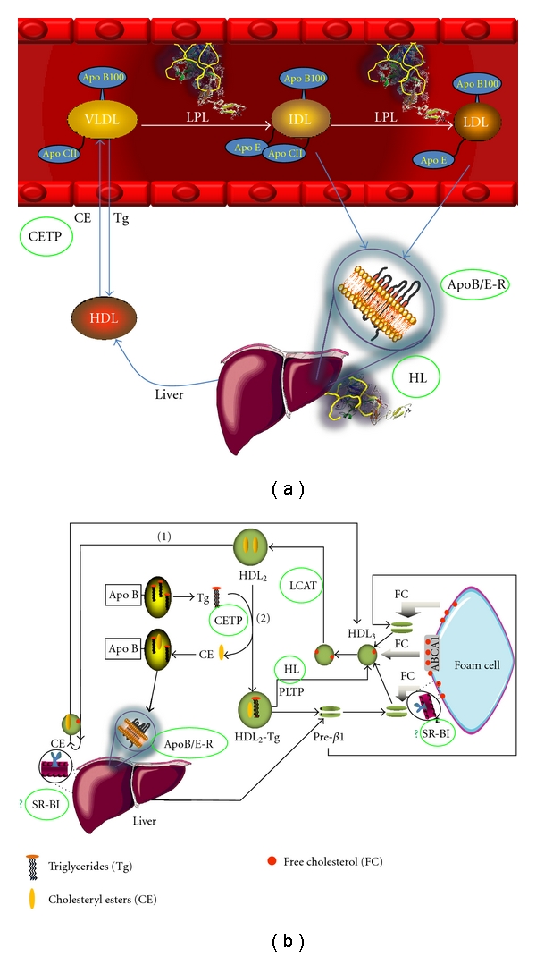 Figure 9