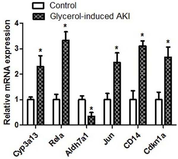 Figure 5