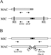 FIG. 1.