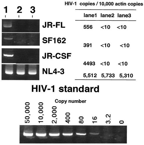 FIG. 5.