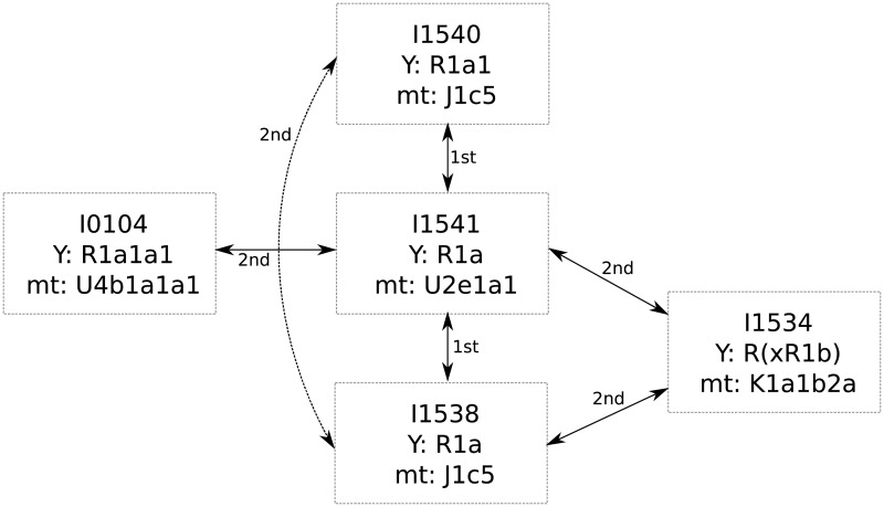 Fig 6