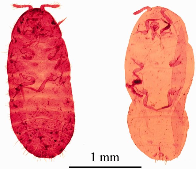 Fig. 7.