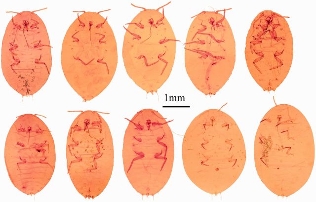 Fig. 4.