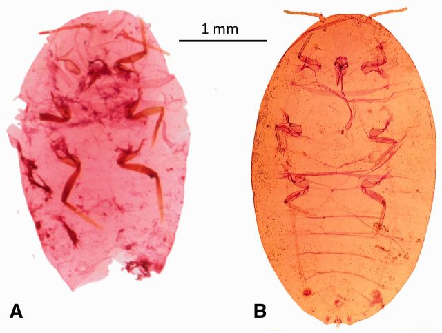 Fig. 9.