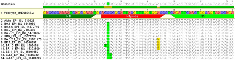 Fig 1