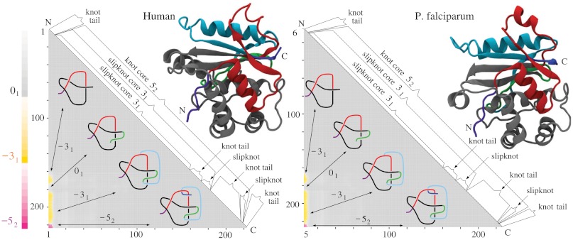 Fig. P1.