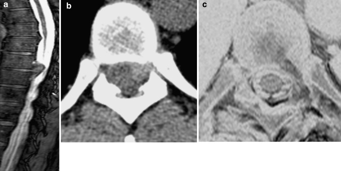 Fig. 5