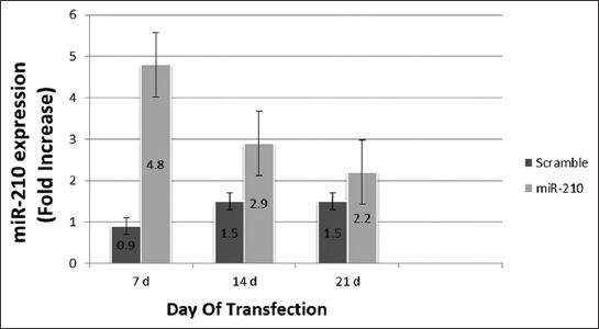 FIGURE 5