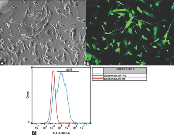 FIGURE 4