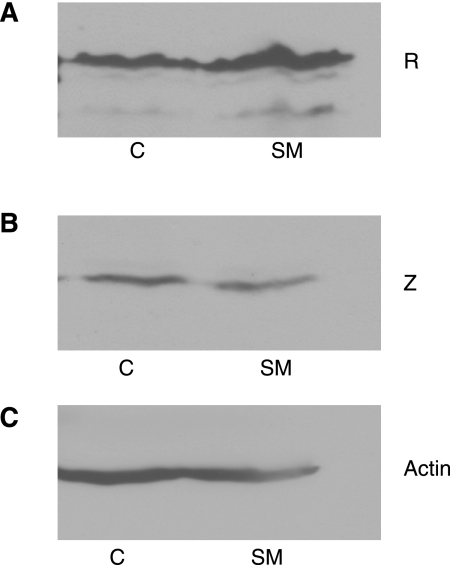 FIG. 7.